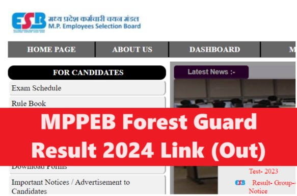 MP Forest Guard Result 2024 Link